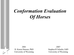 Horse Conformation Evaluation PPT