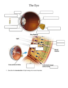 The Eye and Ear Diagrams