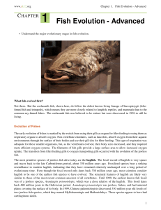 Fish Evolution - Bony and Cartilaginous Fish Origins
