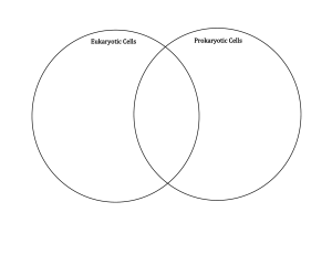 Euk vs. Prokaryotes Venndiagram