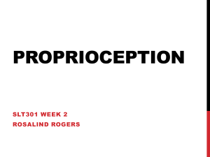 Proprioception Presentation