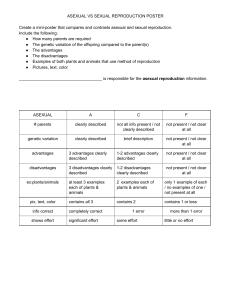 Asexual vs Sexual poster rubric