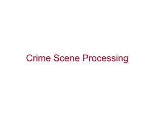 2The Crime Scene processing