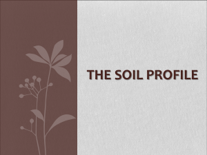 Soil Profile (1)