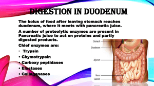 DIGESTION IN DUODENUM
