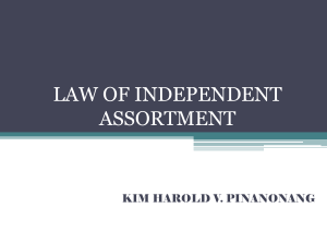 LAW OF INDEPENDENT report