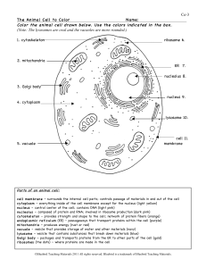 1.1-animal cell