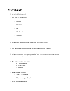 Cells Study Guide (2)