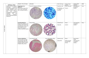 Zoology: Histology Major Tissues 