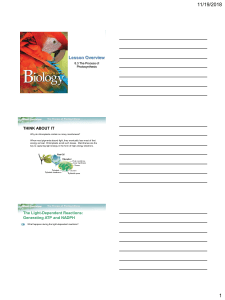 8.3 Process of Photosynthesis