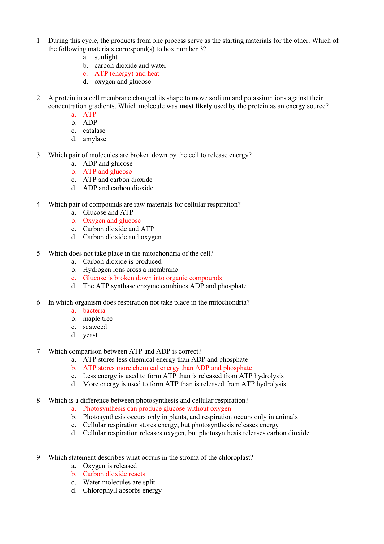 Atp Worksheet Answer Key