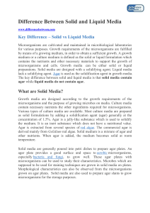 Difference-Between-Solid-and-Liquid-Media-1