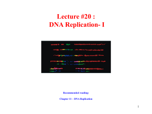 20 DNA Replication I 03 08 2019 Canvas