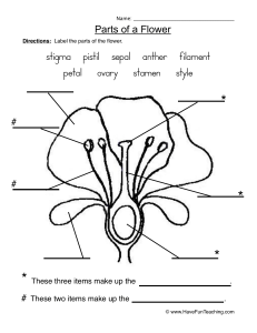 parts-of-a-plant-worksheet-1