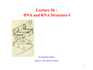 6 DNA and RNA Structure I 02 04 2019 Canvas