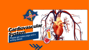 Cardiovascular System notes PowerPoint