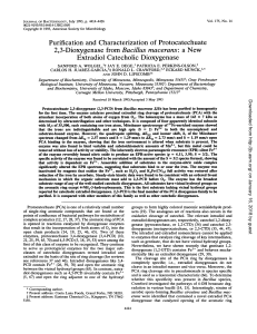 Purification and Characterization of Protocatechuate 2,3 Dioxygenase