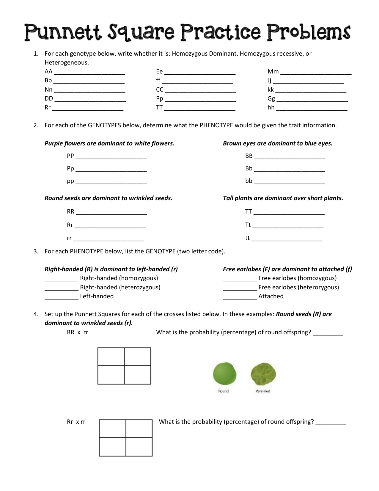 Punnett Square Practice Problems For Punnett Square Practice Worksheet Answers