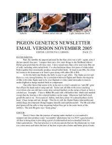 email pigeon genetics newsletter 2005 11