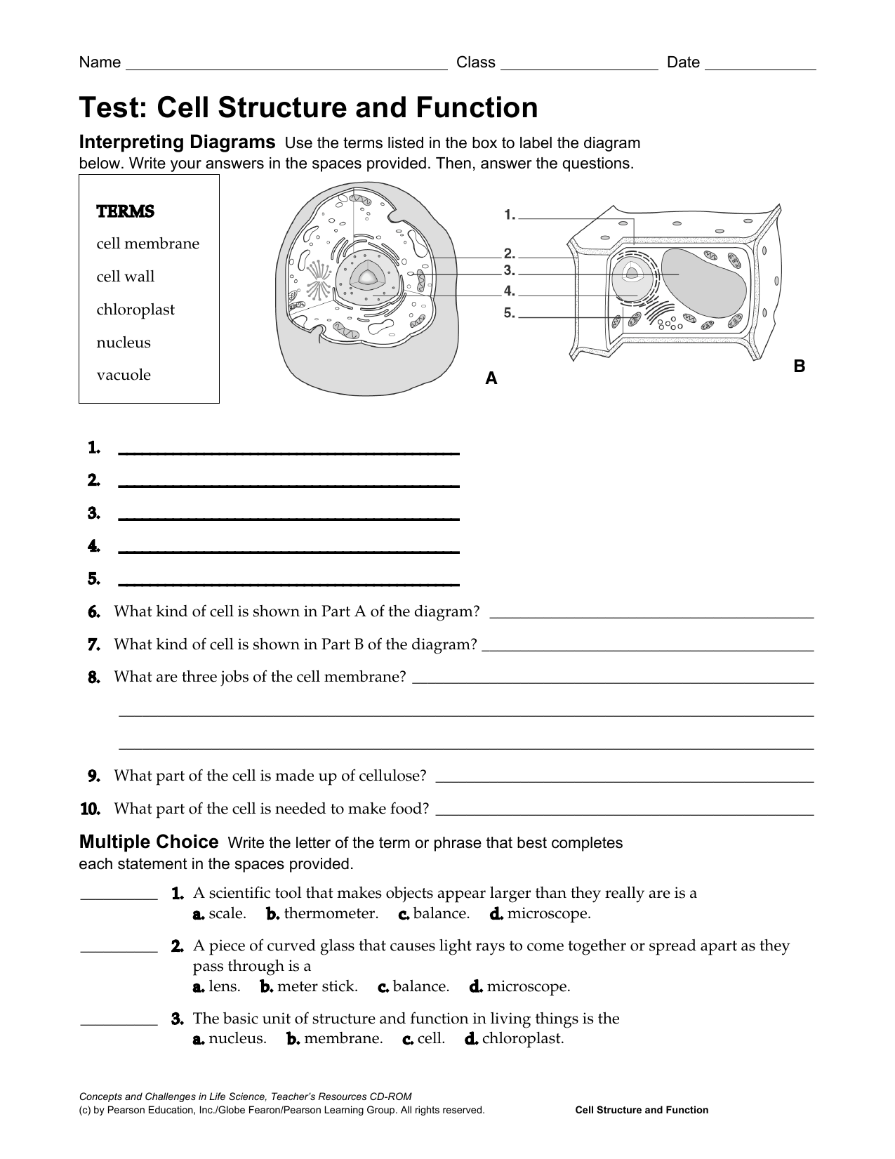 Cell Structure And Function Worksheet Answers