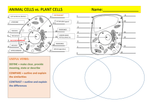 Animal vs. plant cells