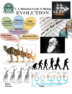 evolution-handout
