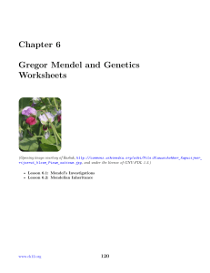 Chapter 6  CK-12 Biology Chapter 6 Worksheets