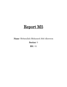 Report M5