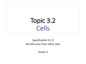 3.2.2 All cells arise from other cells