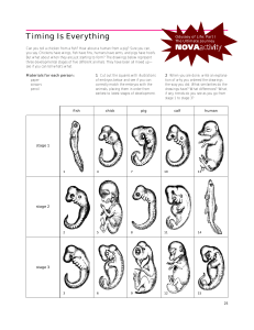 embryology card sort (1)