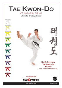 199577894-Taekwondo-Guide
