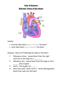 Parts of the Heart