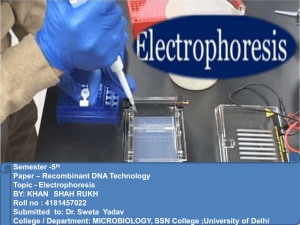 electrophoresis-160113125600