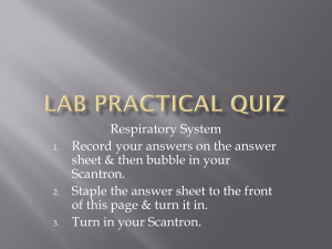 Lab Practical - Respiratory