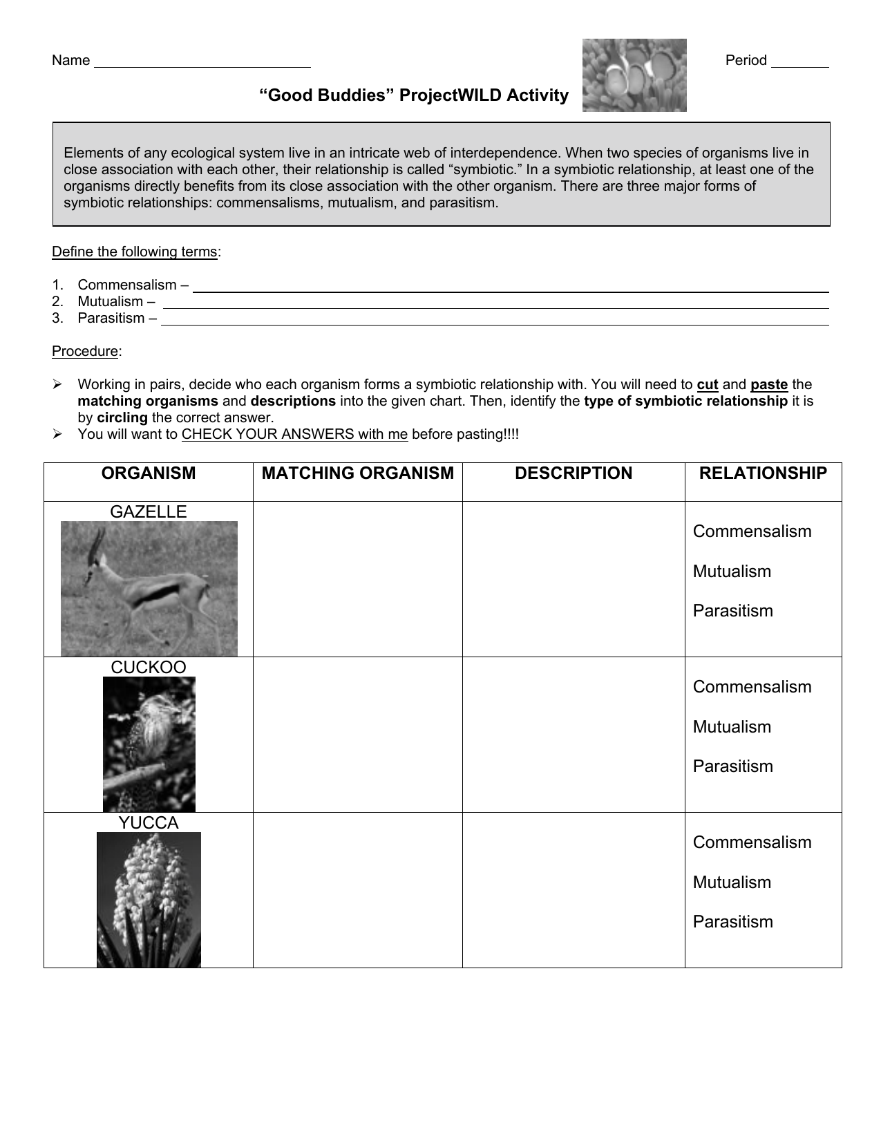 Good Buddies Activity Sheet With Regard To Symbiotic Relationships Worksheet Good Buddies