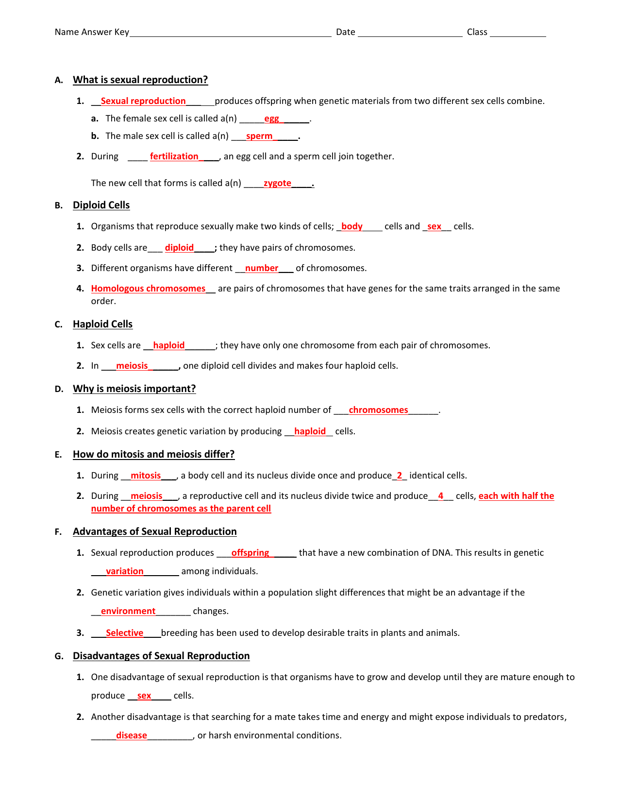 Answer Key For Meiosis