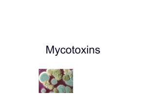 Mycotoxin presentation final