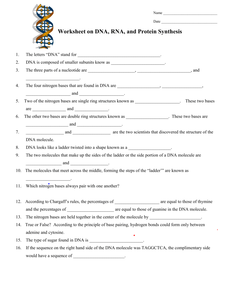 DNA RNA Protein Synthesis Worksheet