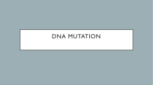 DNA MUTATION