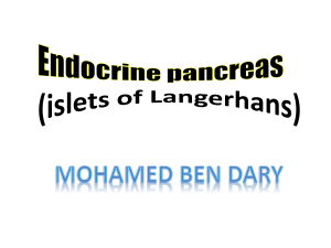 ENDOCRINE pamcreas