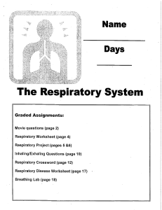 Respiratory System Packet 14
