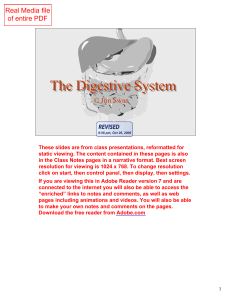 Anatomy3DigestiveSystem
