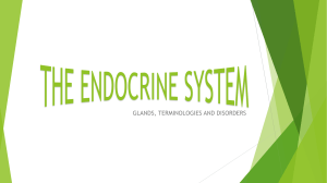 THE ENDOCRINE SYSTEM powerpoint