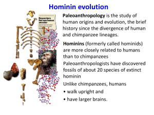 BSC2011 Hominin evolution