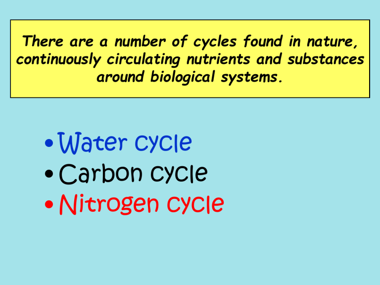 carbon-cycle