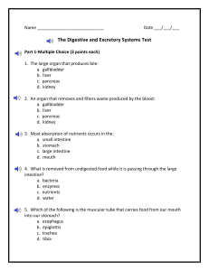 The Digestive and Excretory Systems Test-New-2 (1)