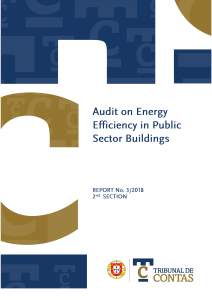 Audit on Energy Efficiency in Public Sector Buildings en