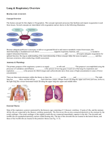 Lung & Respiratory StudentNotes