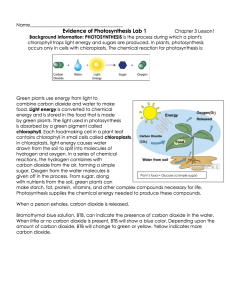 Photosynthesis Lab Worksheet: Understanding Plant Energy