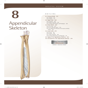 8. Appendicular Skeleton